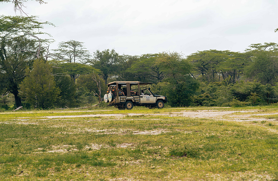Tours and Safaris